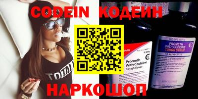 амф Кингисепп