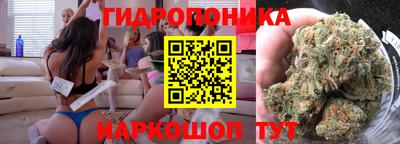 амф Кингисепп